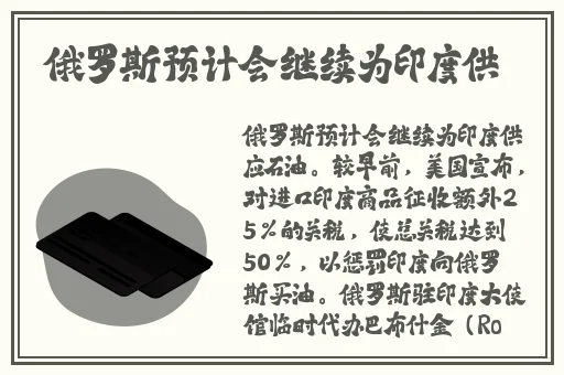 我的婬荡极品女房东3